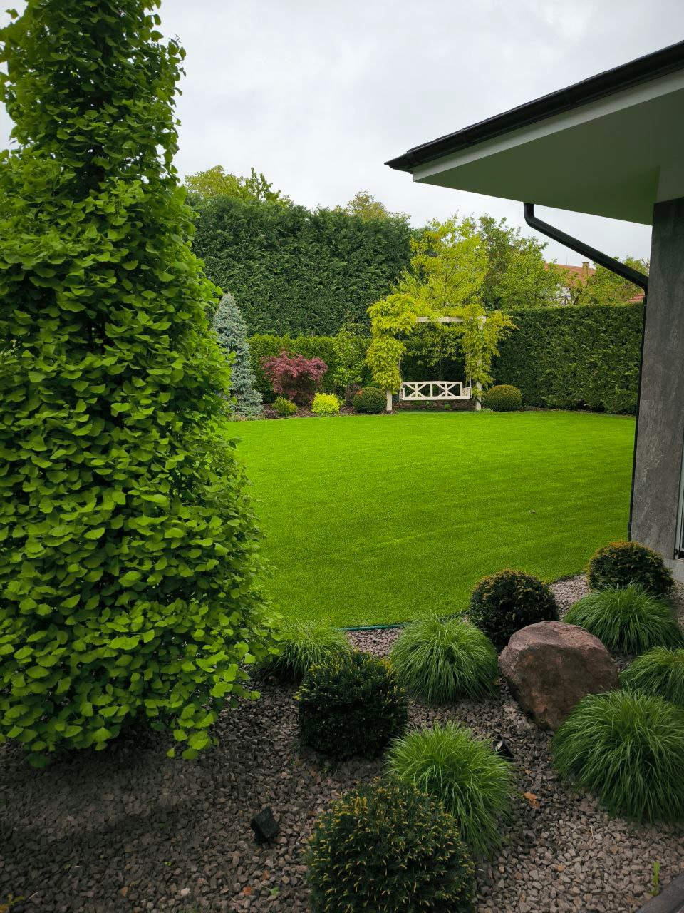 Ginkgo Biloba