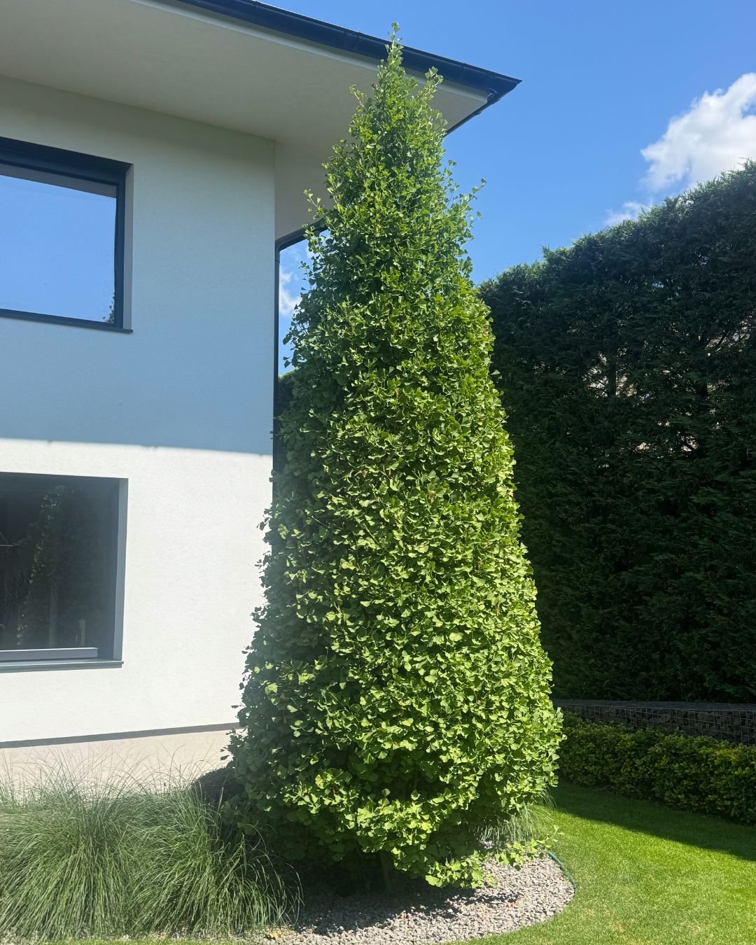 Model 2